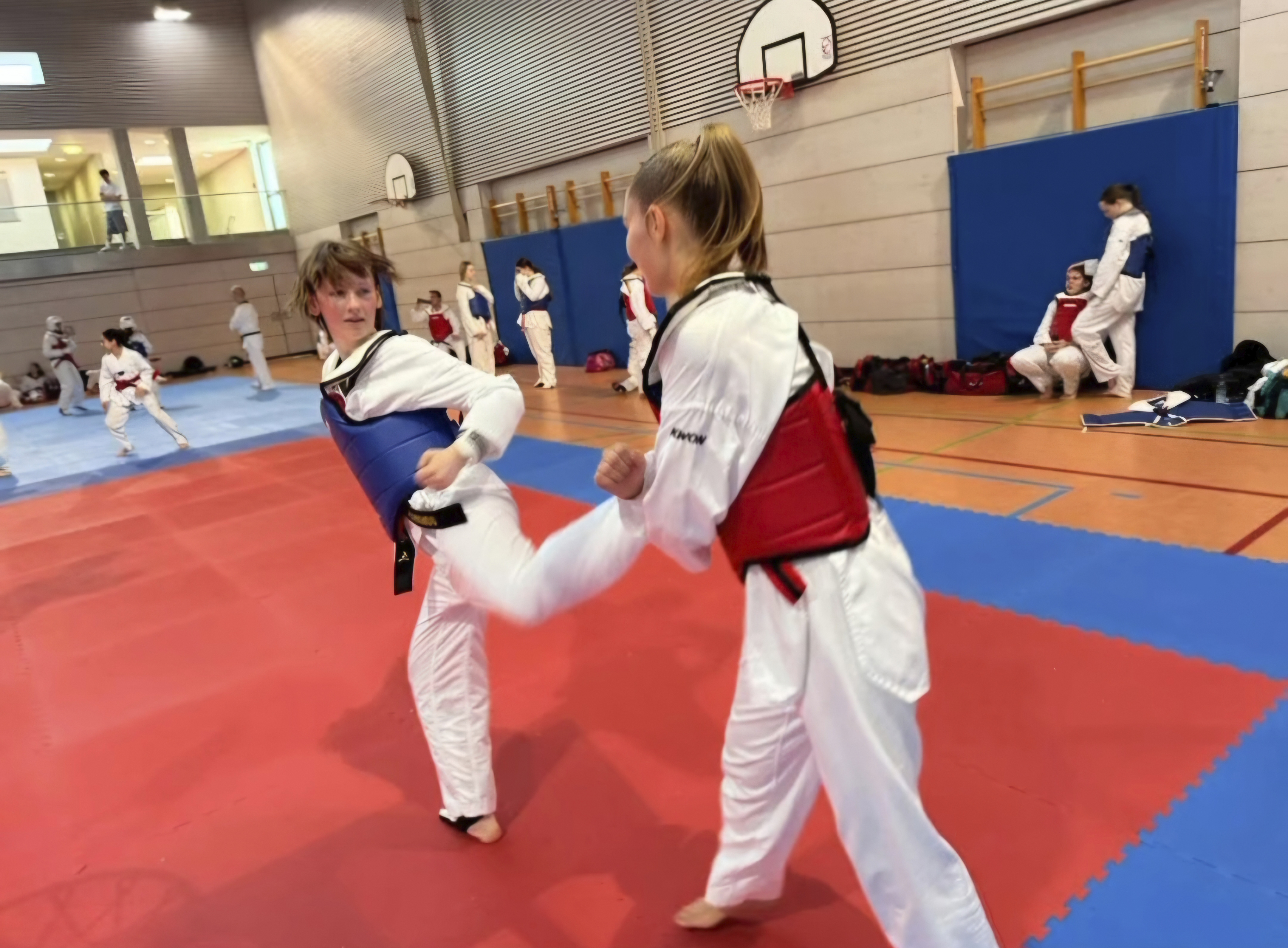 ESV TKD Tr Assi Lehrgang 25 2