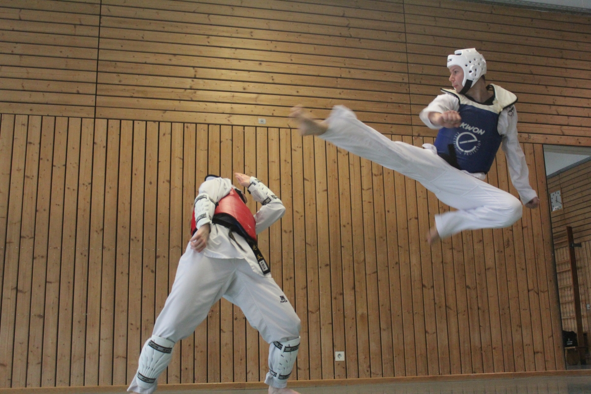 Taekwondo 2