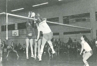 Bundesliga Volleyball 1