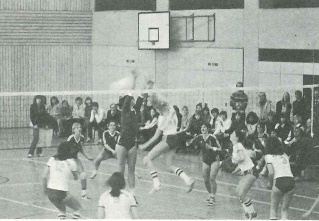 Bundesliga Volleyball 2